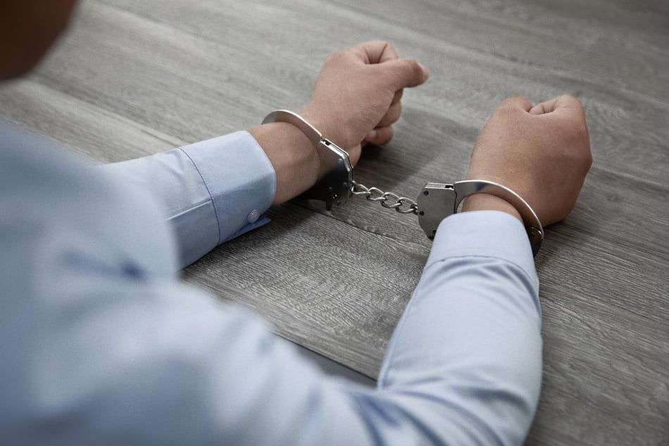 The Impact of Criminal Convictions on Immigration Status: Consequences and Defense Strategies
