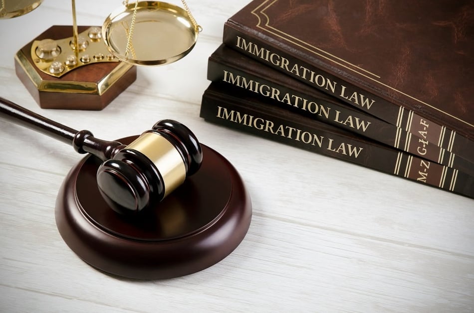 7 Things to Consider Before Becoming an Immigration Attorney