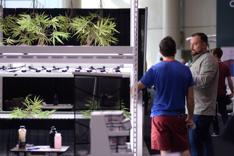 Marijuana Industry Workers